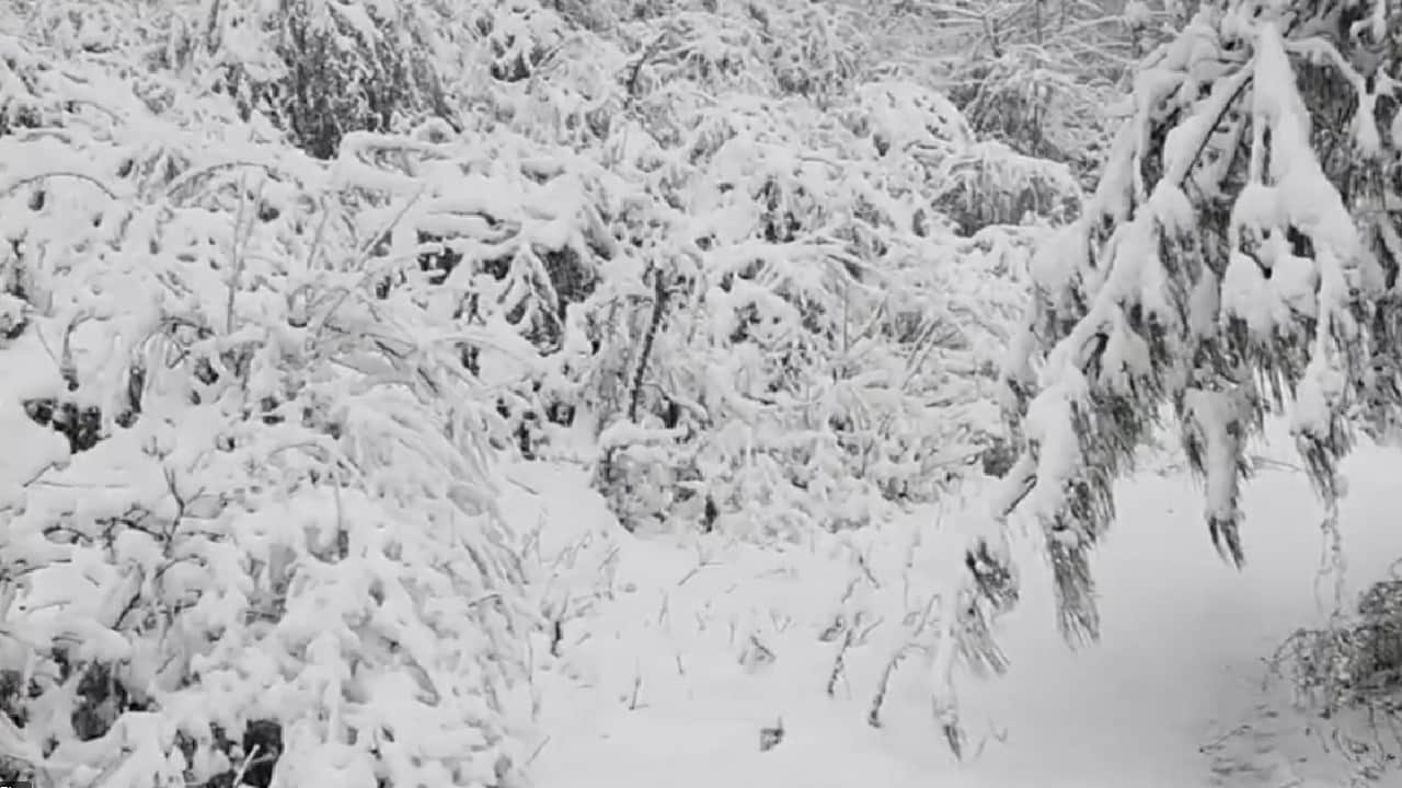 Heavy snowfall in mountains Snow fell from Jammu and Kashmir Himachal pradesh to Uttarakhand