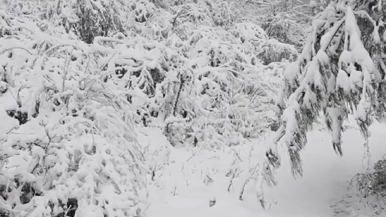 Heavy snowfall in mountains Snow fell from Jammu and Kashmir Himachal pradesh to Uttarakhand