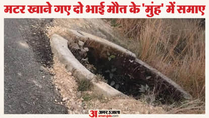 Two brothers drowned in well in lalitpur