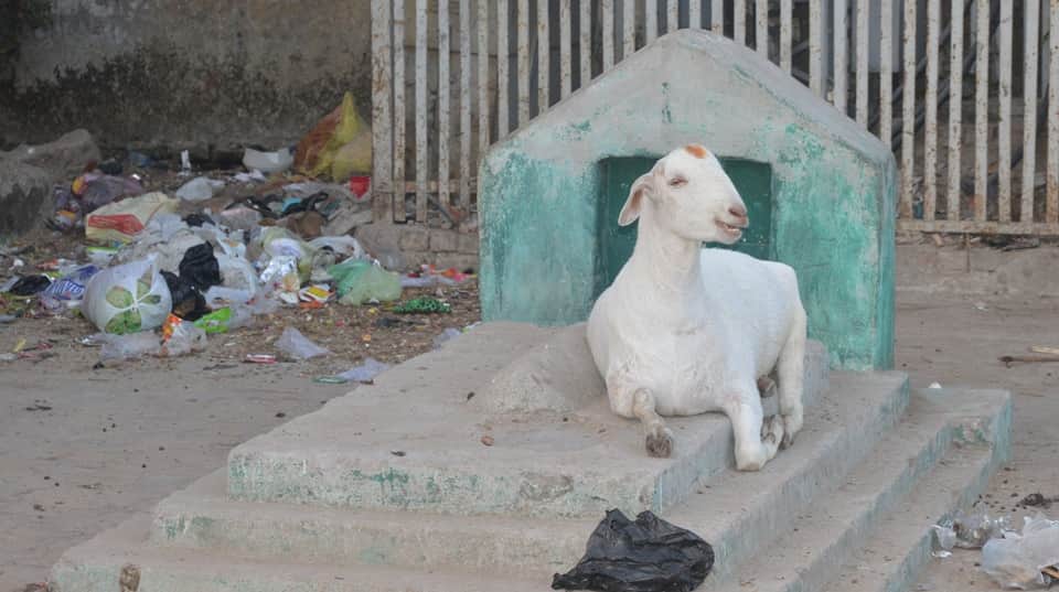 Banjara Falls Silent Neglect Shadows Poet Nazir Akbarabadi’s Shrine Vasant Panchami Fair Absent for Two Years