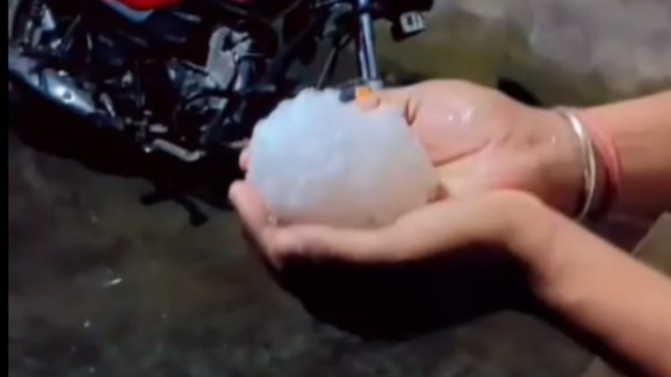 पंजाब में बरसात:वसंत पंचमी पर बदला माैसम, मुक्तसर में तेज बरसात के साथ गिरे ओले; आगे कैसा रहेगा माैसम – Rain In Punjab On Vasant Panchami