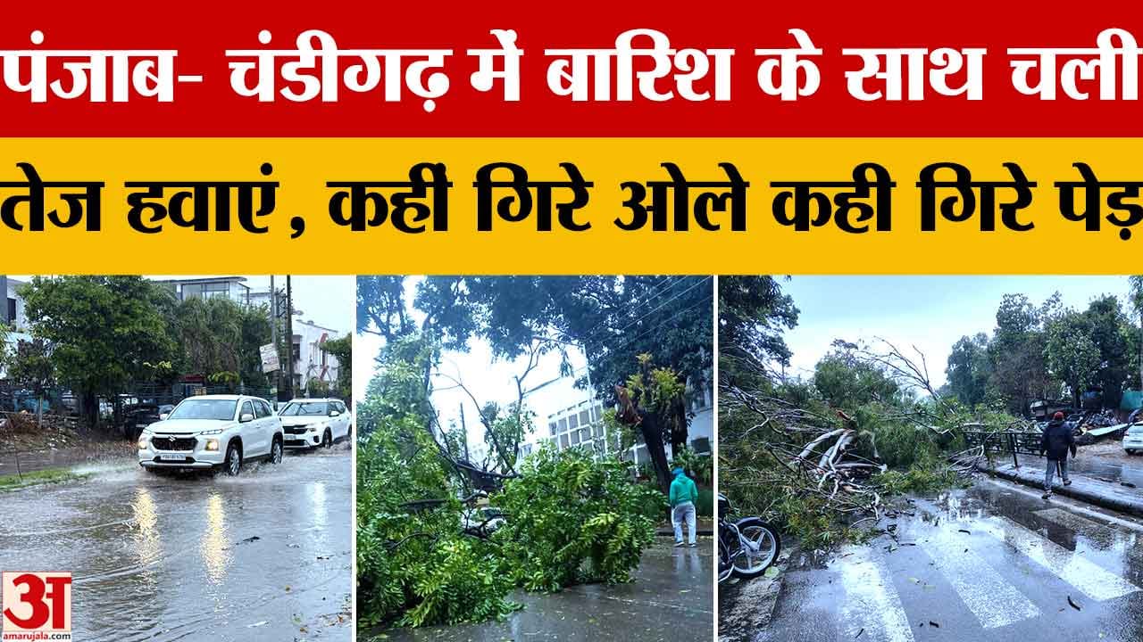 पंजाब मौसम अपडेट