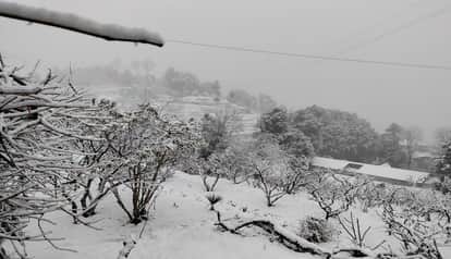 The snowfall proved to be a lifeline for apples and also provided the necessary moisture to the crops