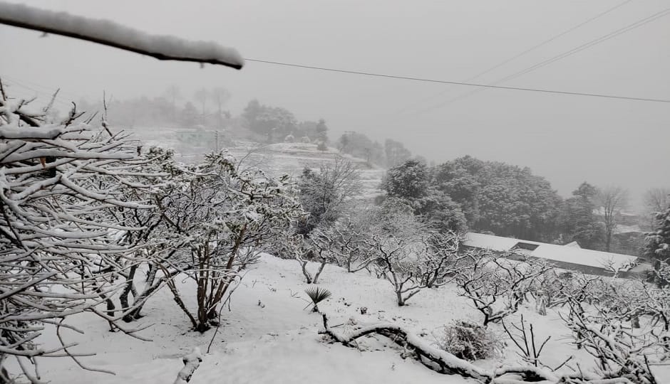 The snowfall proved to be a lifeline for apples and also provided the necessary moisture to the crops