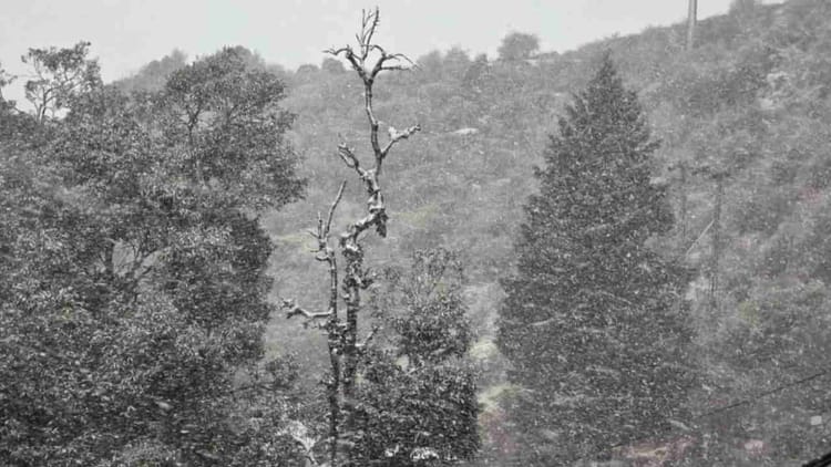 Uttarakhand: बारिश-बर्फबारी से लौटी ठंड, छह डिग्री गिरा पारा, देहरादून, टिहरी-उत्तरकाशी में कल स्कूल बंद