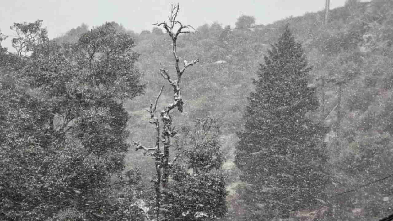 Trending Mussoorie is trending today magic returned with first snowfall Season Uttarakhand News in hindi