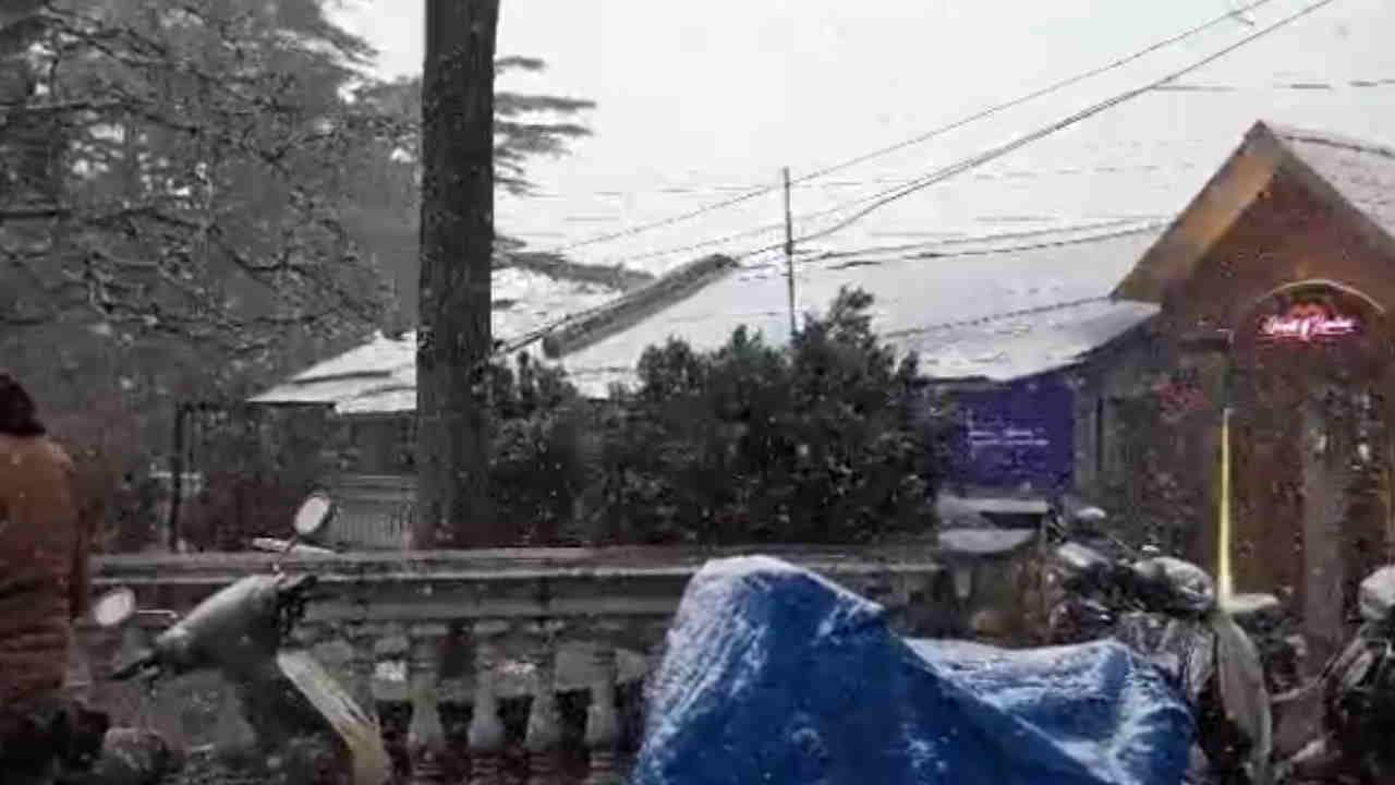 Uttarakhand Snowfall Update Today: Mountains Covered with Snow from Chakrata to Mukhba Kedarnath Photos Video