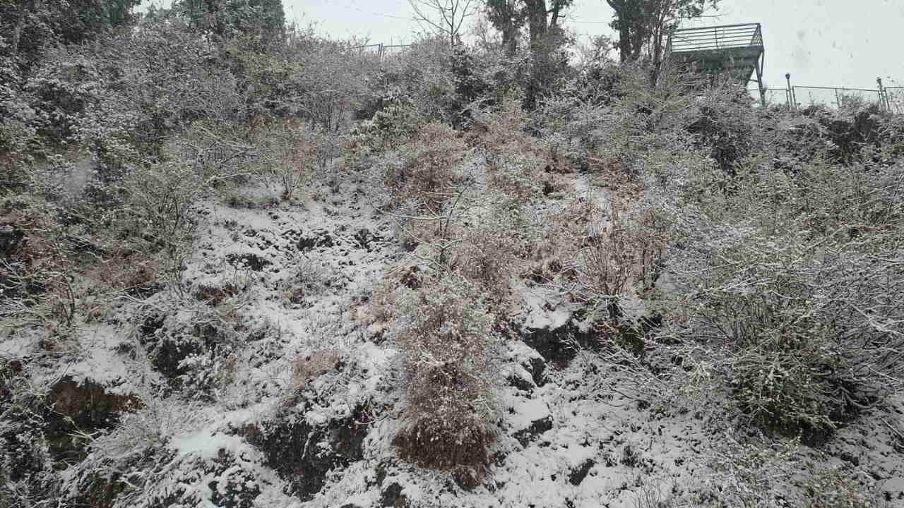 Trending Mussoorie is trending today magic returned with first snowfall Season Uttarakhand News in hindi