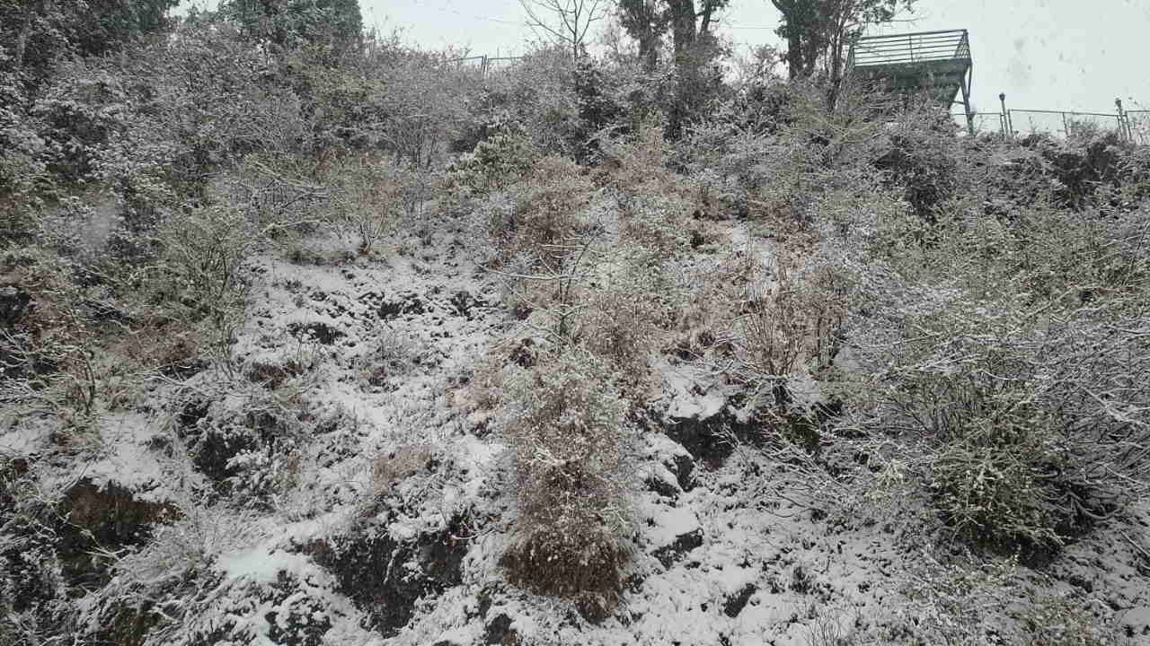 Trending Mussoorie is trending today magic returned with first snowfall Season Uttarakhand News in hindi