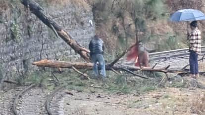 Trains halted on Kalka-Shimla track due to falling trees and rocks train arrived in Shimla four hours late