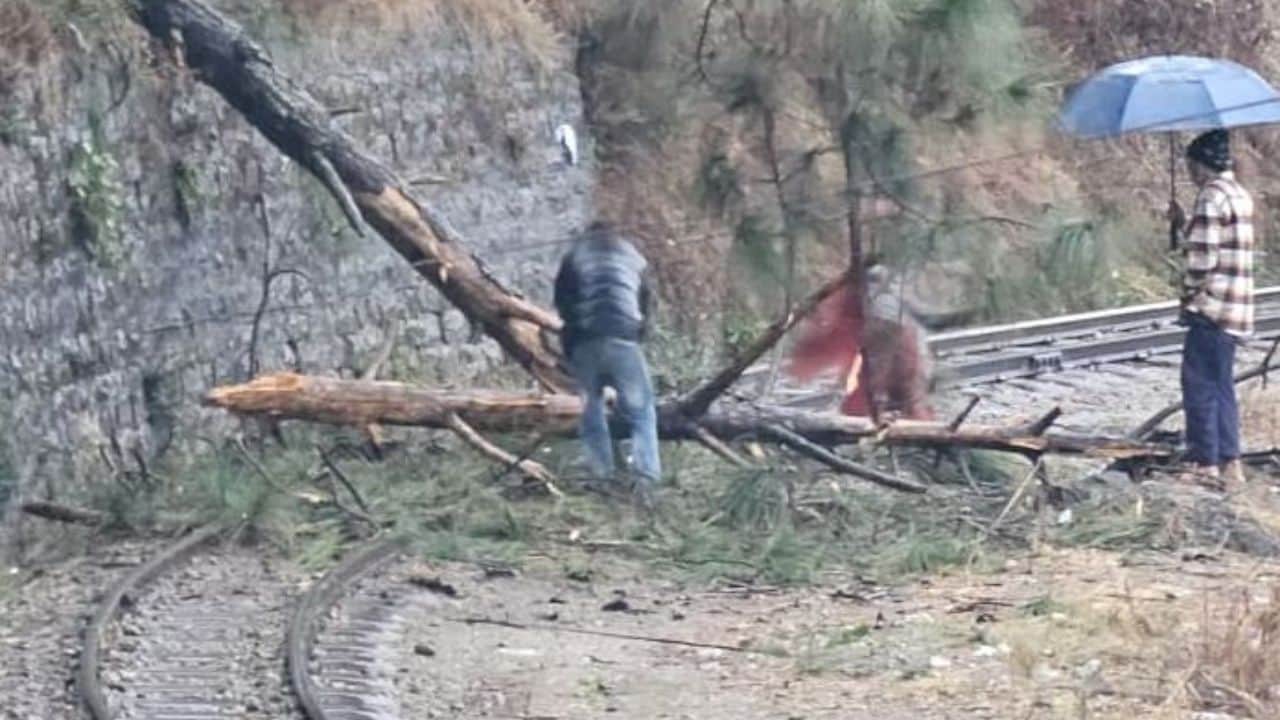 धर्मपुर रेलवे स्टेशन के समीप रेल लाइन पर गिरे पेड़।