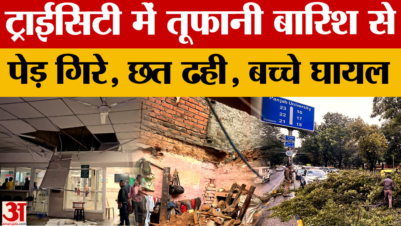 चंडीगढ़ में तूफानी बारिश का कहर, पेड़ गिरे, छत ढही, कई हुए घायल