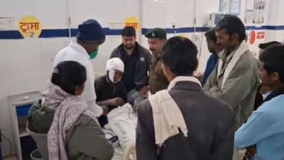 elderly farmer went to collect wood attacked by bear family in panna MP saved his life performing death stunt