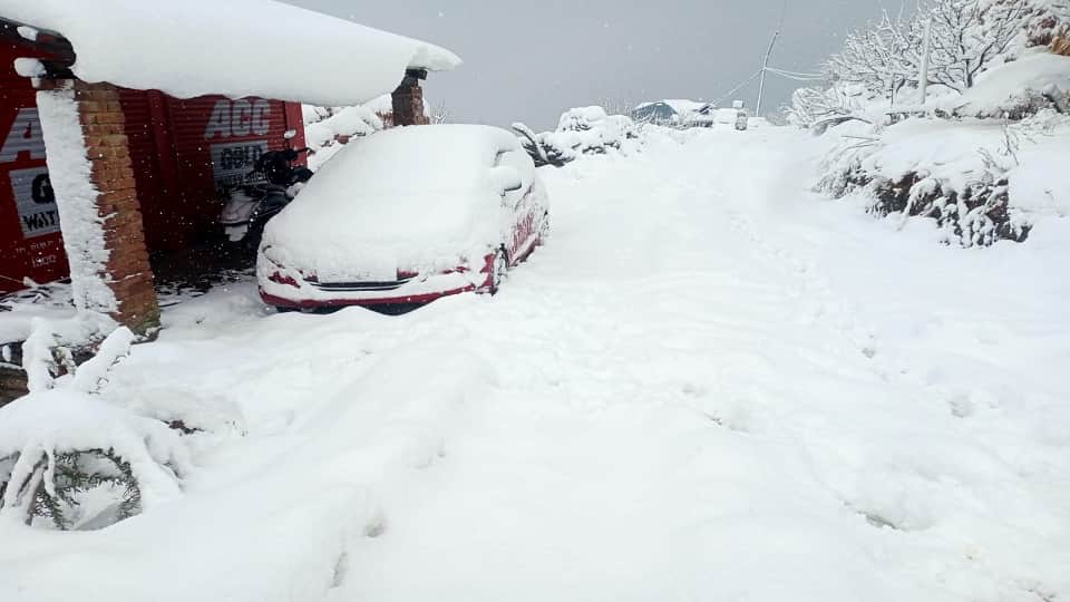 Snowfall Photos From NCC parade to fun of tourists amidst snowfall hill states covered in a white sheet