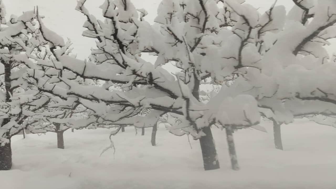 हिमाचल में बर्फबारी।