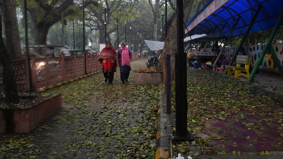 UP: Rain changes the weather pattern, cold wave grips Moradabad division