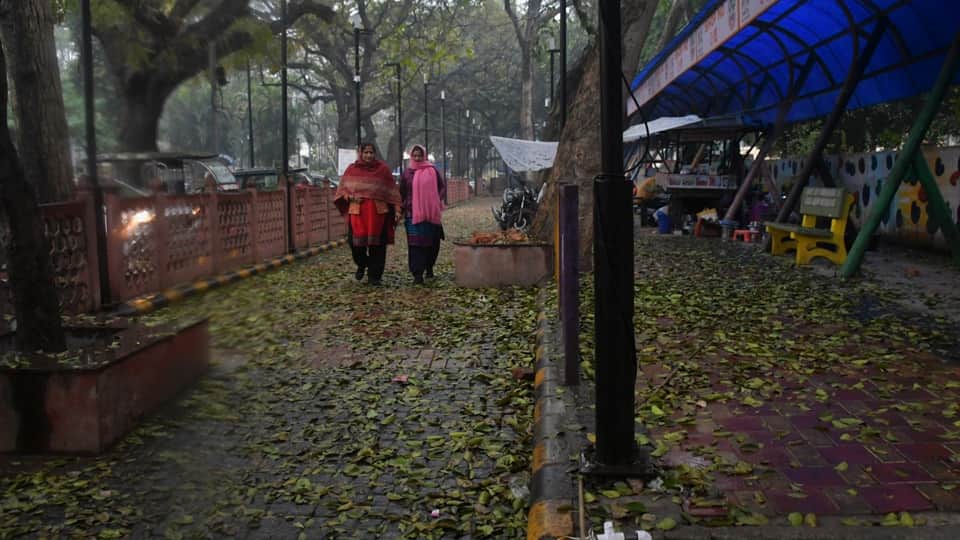 UP: Rain changes the weather pattern, cold wave grips Moradabad division