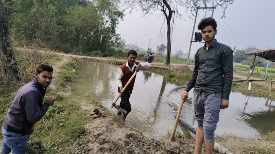 Auraiya: Canal overflows, submerging 40 bighas of wheat crop, increasing farmers' troubles