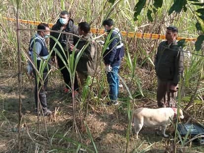 The body was hung from a tree to make it look like a suicide; the brother revealed the whole story.