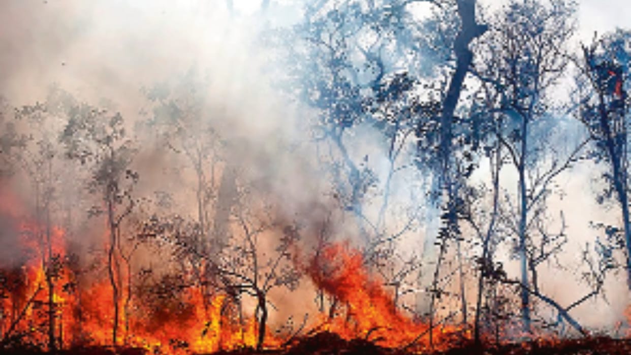 A massive forest fire has broken out in the Katehda forest area in Nowshera division of Rajouri
