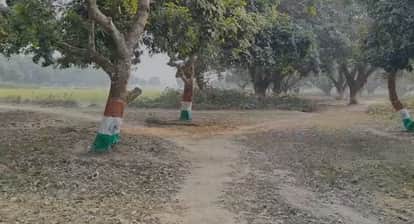 katihar mango man kalidas banerjee tricolour garden environment protection republic day