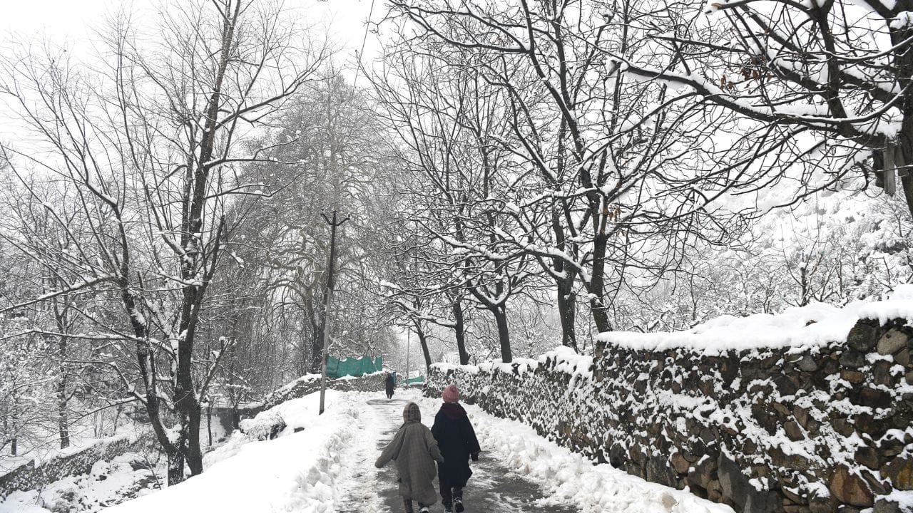 Fresh spell of snowfall in Srinagar