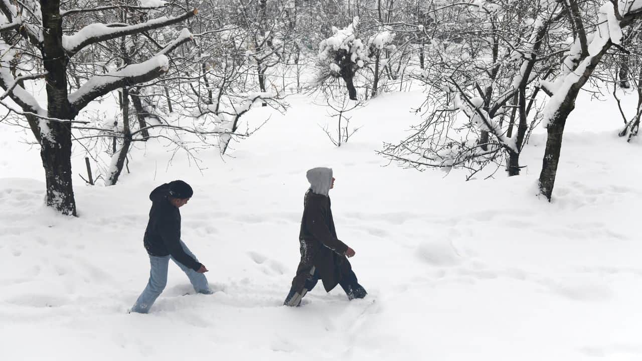 Fresh spell of snowfall in Srinagar