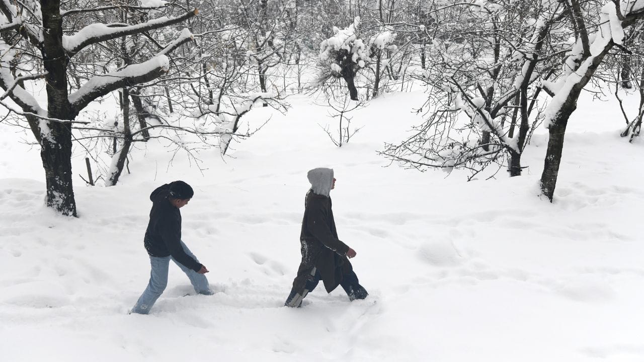 Fresh spell of snowfall in Srinagar