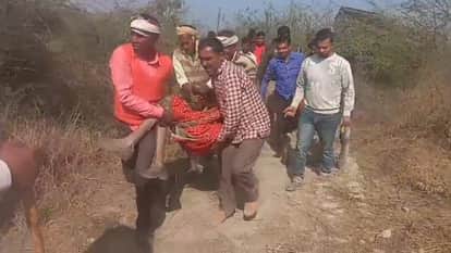 elderly woman killed by bull in Budaun