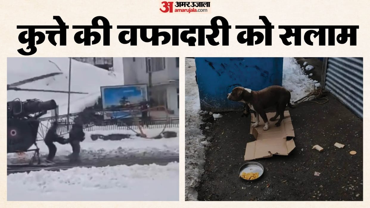 Dog lived with owners dead body for four days