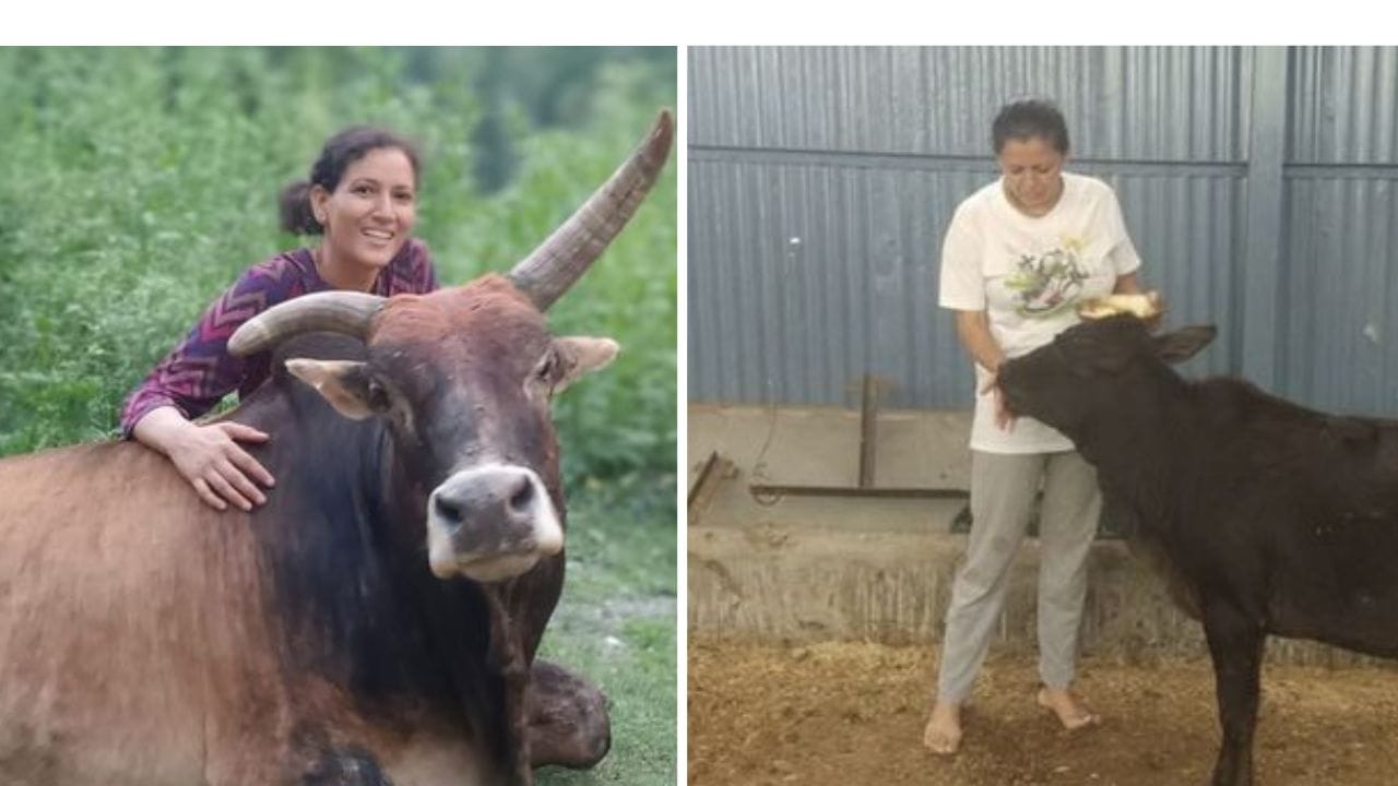 Guardians of the Republic Some are fighting war against drugs others are helping abandoned cattle and children