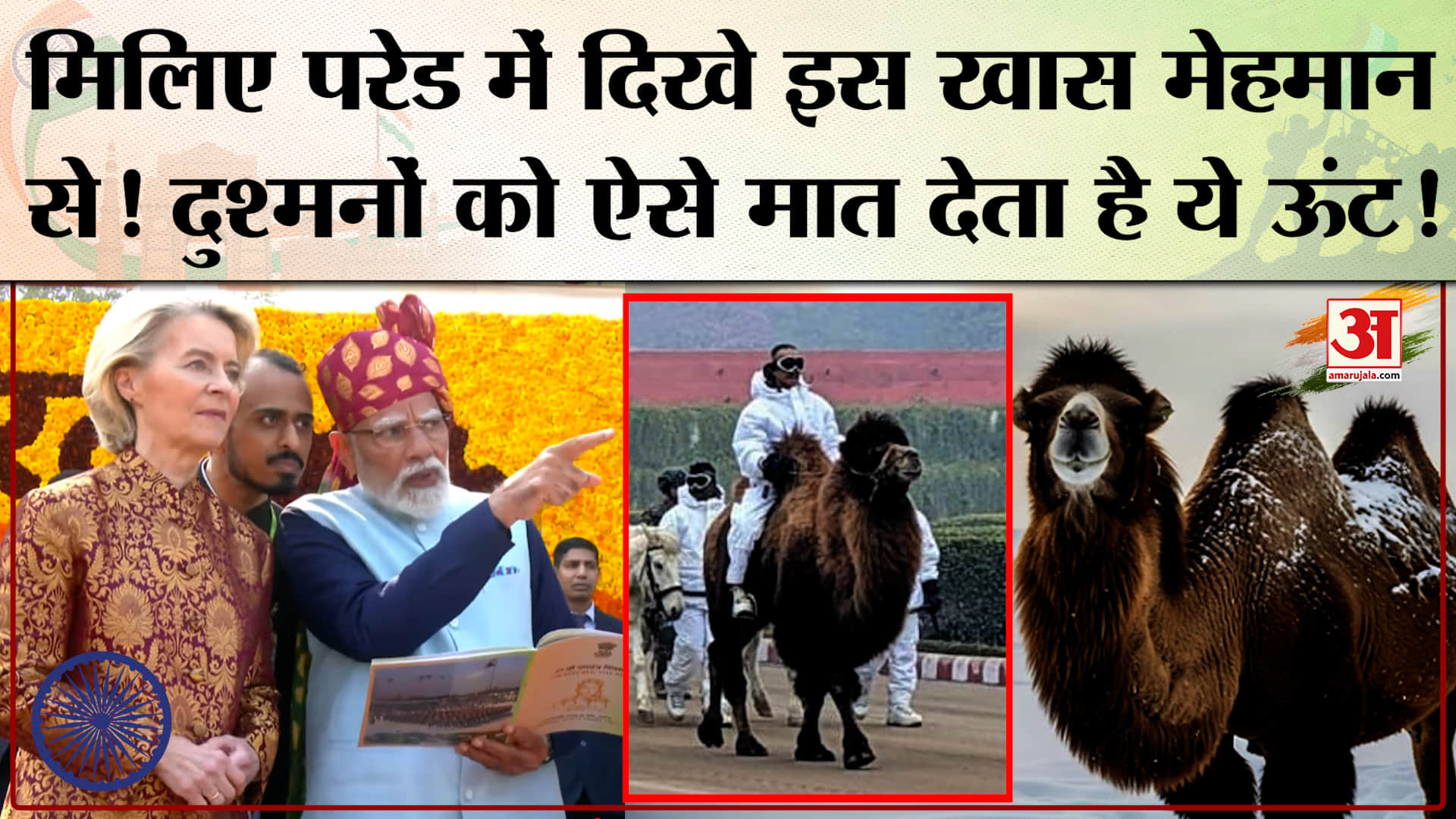 Republic Day Parade 2026: परेड में दिखे Bactrian Camel की खासियत तो जान लीजिए।