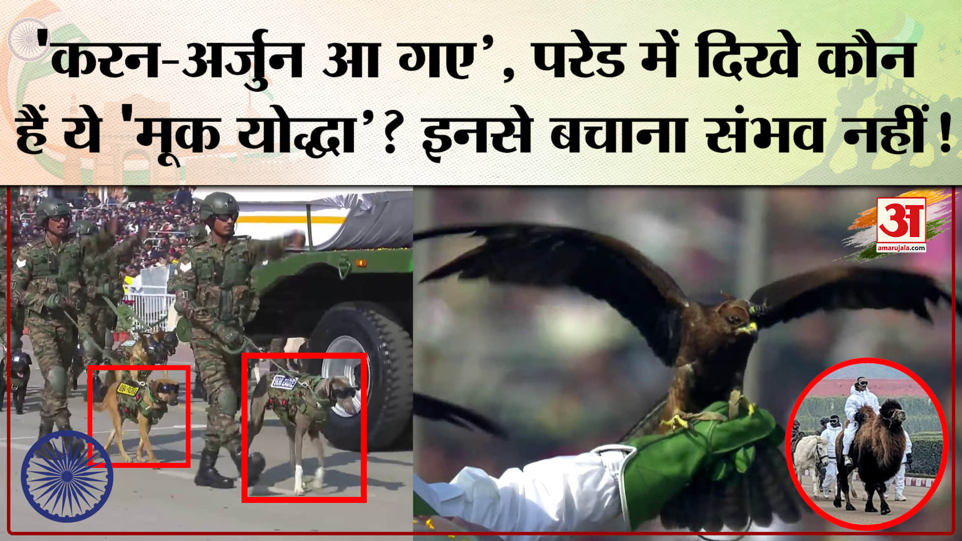 Republic Day Parade 2026: परेड में दिखे कौन हैं ये 'मूक योद्धा'? इनकी खासियत होश उड़ा देंगे