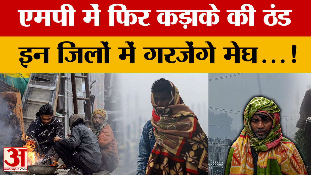 Weather Report : MP में धूप गायब, दिन में भी ठिठुरन, इस दिन से मावठे की संभावना