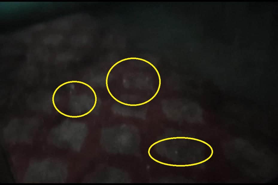 अलीगढ़ में तेज बारिश के साथ ओलावृष्टि