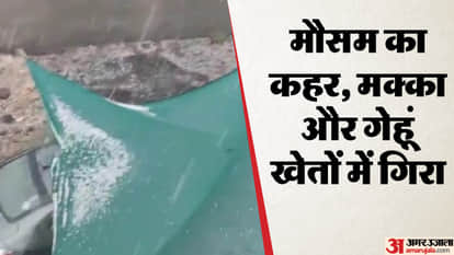 Severe hailstorm strikes: Sudden weather change destroys maize wheat, and gram crops in Khargone