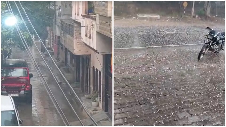 Rain in Haryana Weather news Cold wave in Haryana