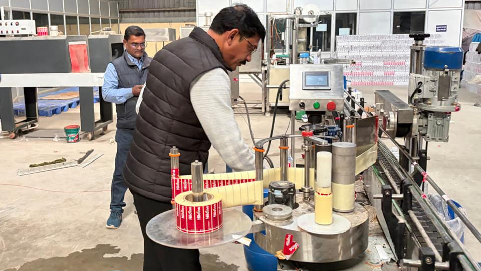 Burger King's refined oil and Arshia Food paneer found to be substandard; 95 adulterators fined Rs 31.20 lakh