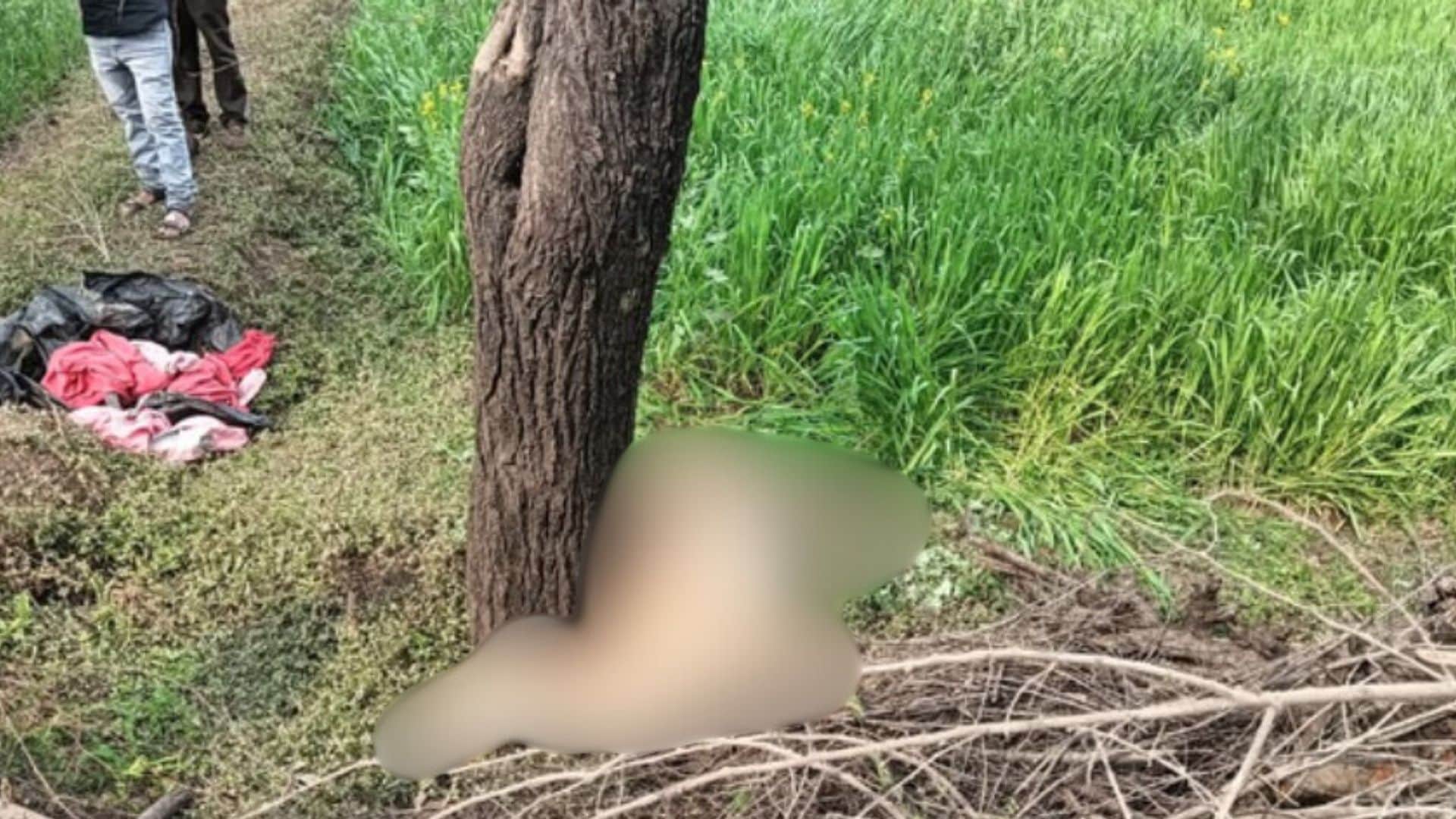 करंट से नीलगाय की मौत