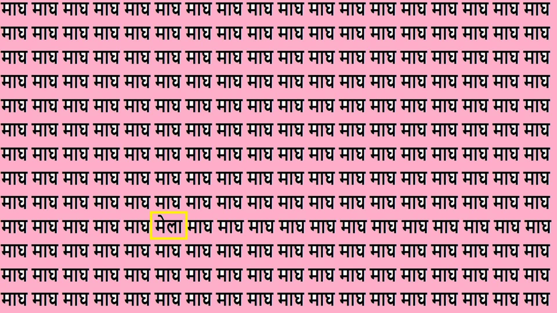 Optical Illusion IQ Test Brain Test Can You Spot Mela in 15 Seconds Brain Teaser Image