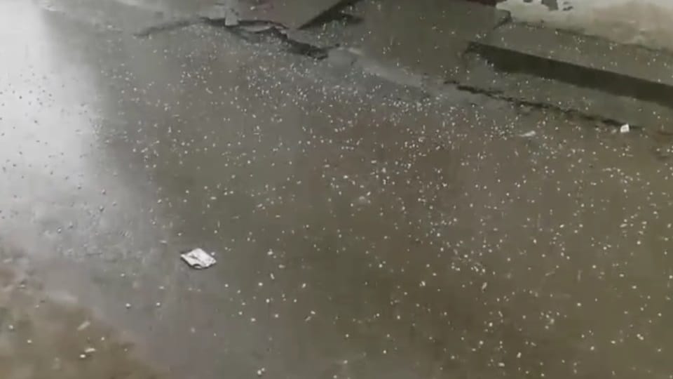 पंजाब में बारिश:लगातार दो पश्चिमी विक्षोभ से मौसम बदला, पटियाला में गिरे ओले; तेज हवाओं से गिरा पारा - Weather In Punjab Is Set To Change Again Due To Two Consecutive Western Disturbances - Amar Ujala Hindi News Live