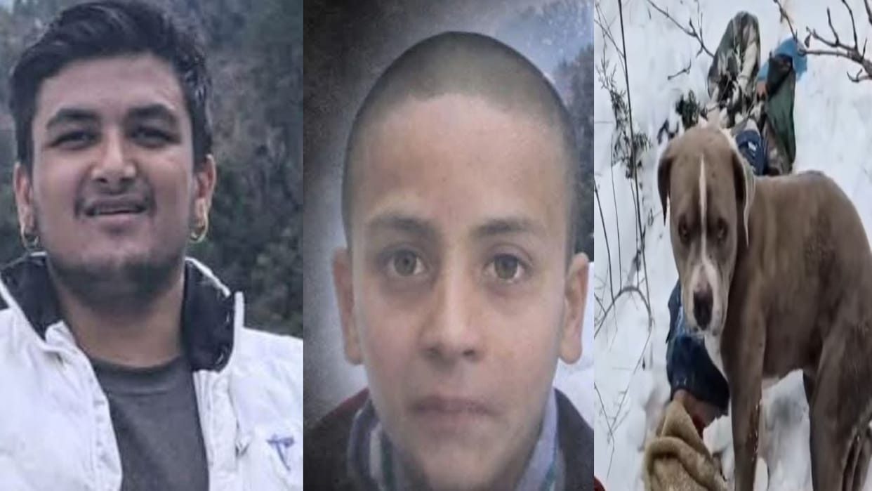 Himachal: Two cousins struggled to survive for two days in the snow, dog remained sitting by their dead bodi