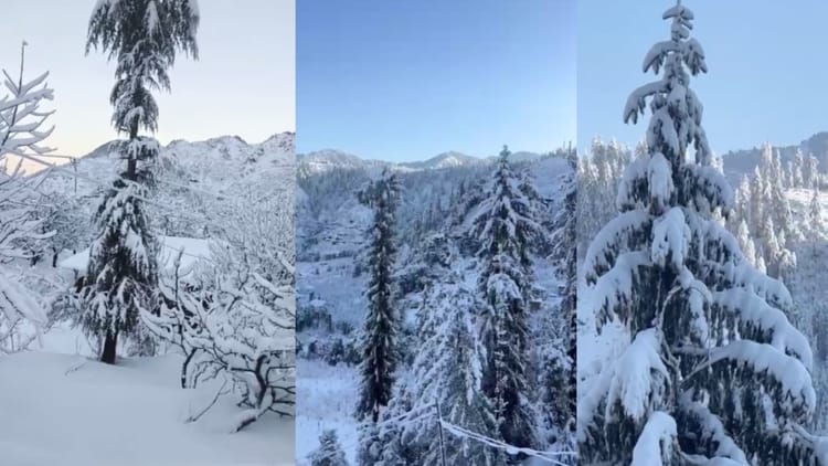 Weather Report:पहाड़ों पर हिमस्खलन, मैदान में बारिश-ओलावृष्टि से गिरा पारा; सर्द हवाओं से दिल्ली में ठिठुरन – Weather: Rain And Hail In The Plains Caused The Mercury To Plummet; Cold Winds Chilled Delhi.