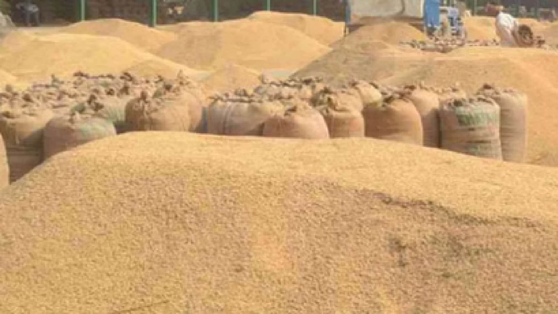 छत्तीसगढ़ धान खरीदी