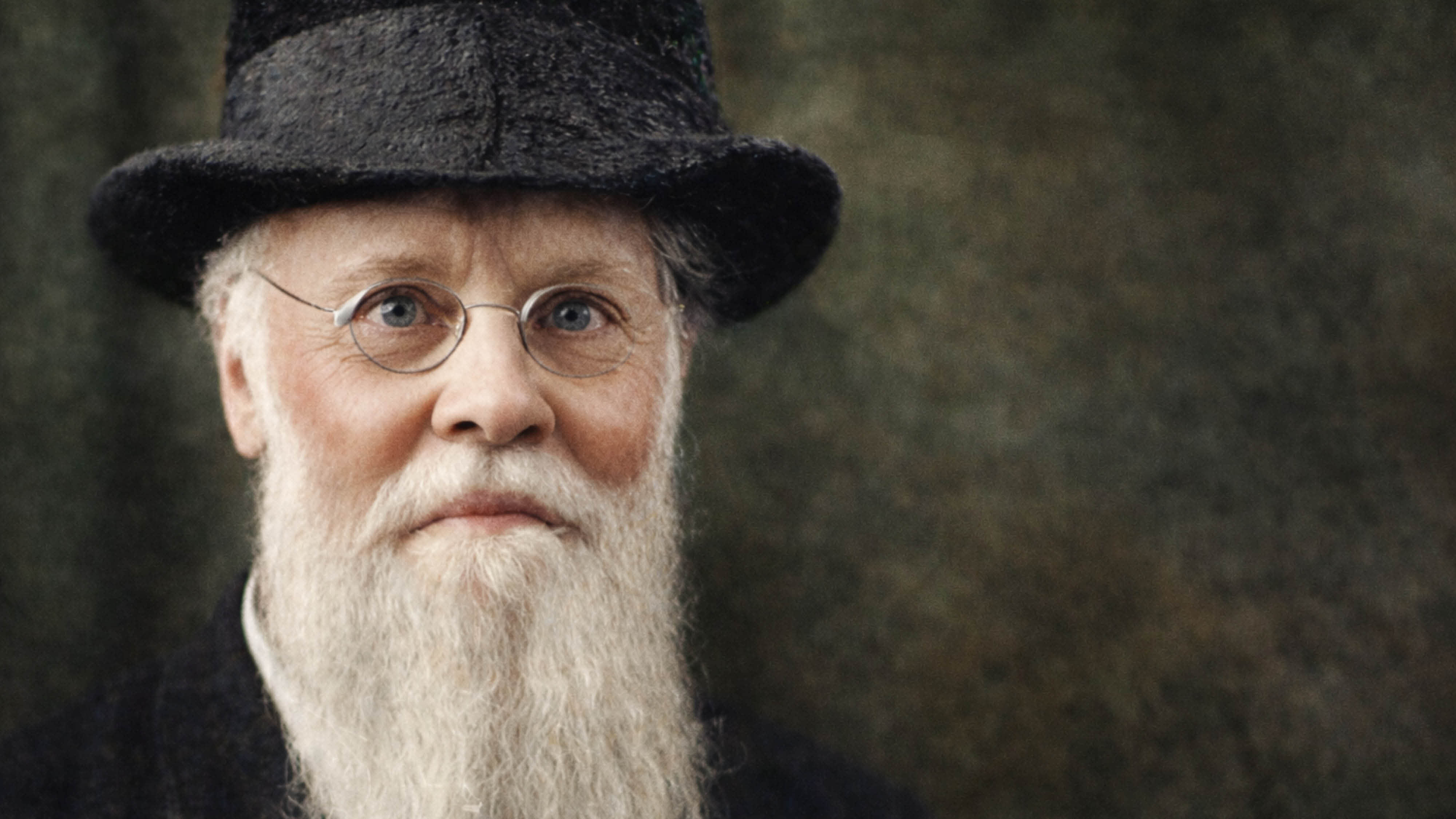 एए फ्यूहरर, पुरातत्वविद