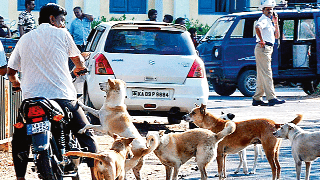 What is the cure for this disease? Only collective efforts will provide a solution