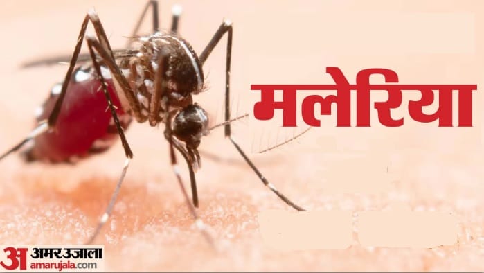 malaria-remains-major-challenge-in-india-hotspot-districts-tribal-areas-raise-concerns