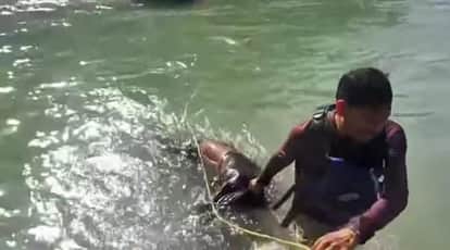 Rishikesh Brave Vipin saved the life of a tourist drowning in the Ganges he revived him by performing CPR