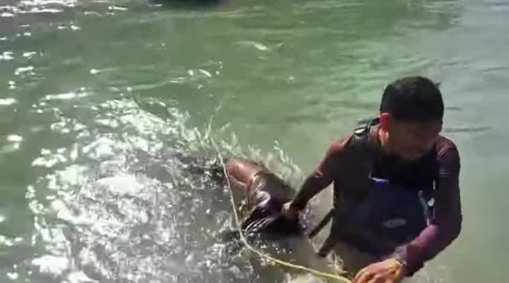 Rishikesh Brave Vipin saved the life of a tourist drowning in the Ganges he revived him by performing CPR