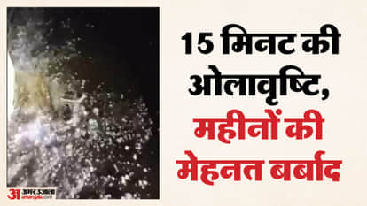 Weather havoc in Sawai Madhopur Hailstorm breaks the backs of farmers news in hindi